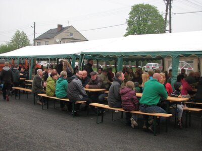 Drzewko Szczedrzyk (6)